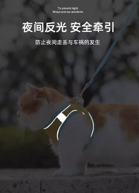 cat leash