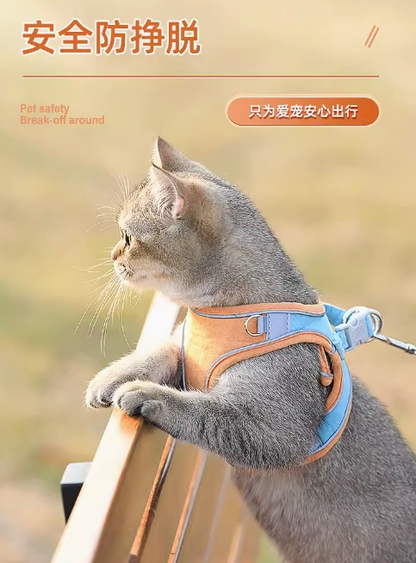 cat leash